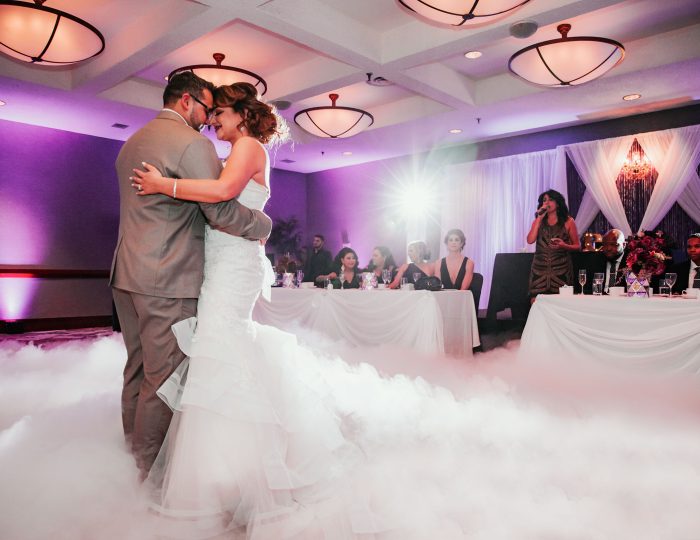Edmonton Westin Hotel Wedding